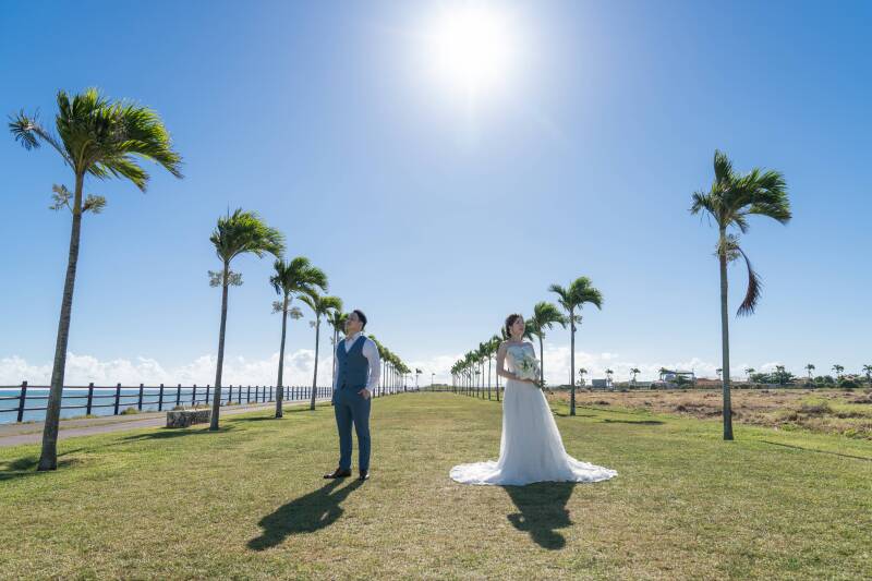 よくばりプランで夢が叶う!