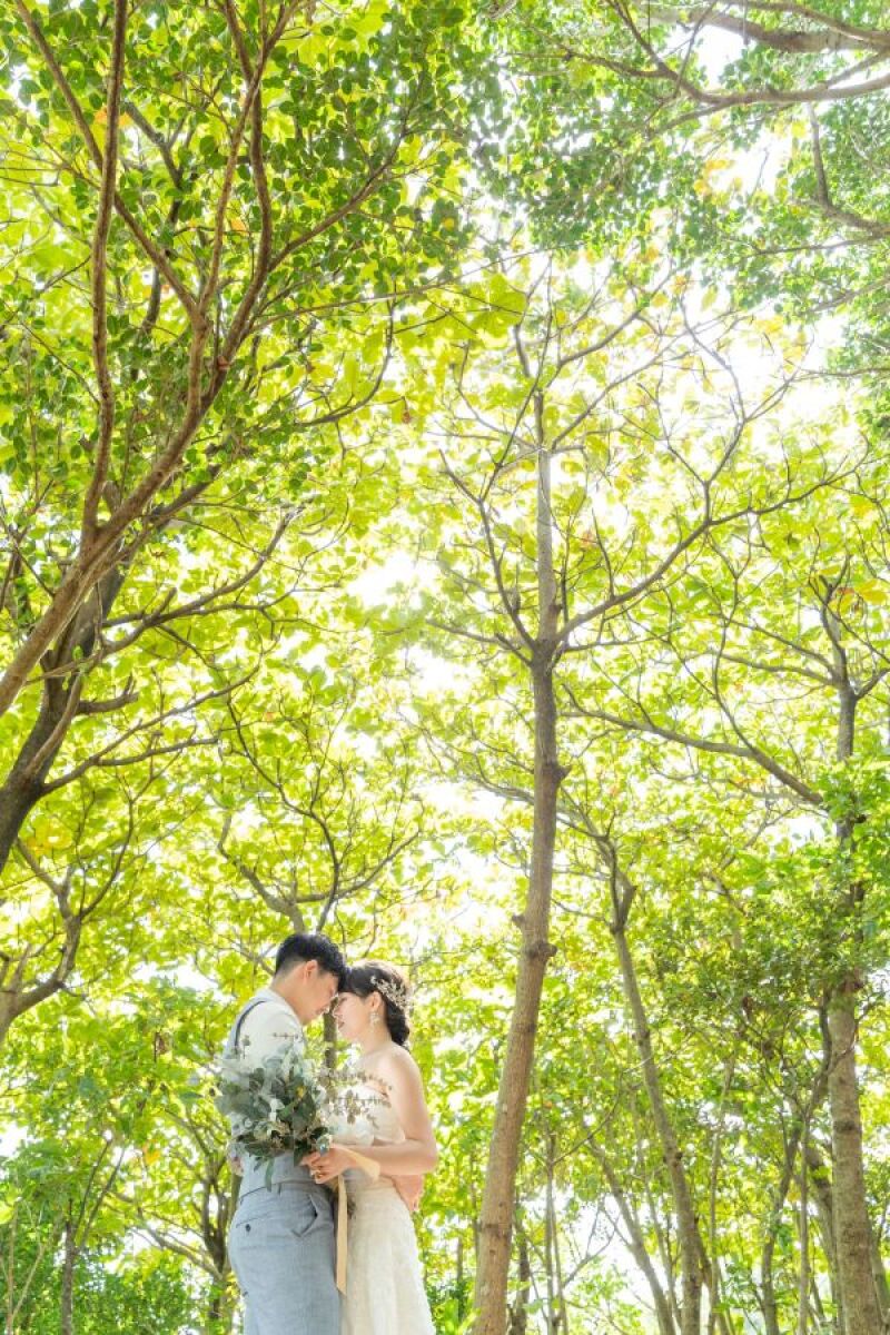 大自然のグリーンが