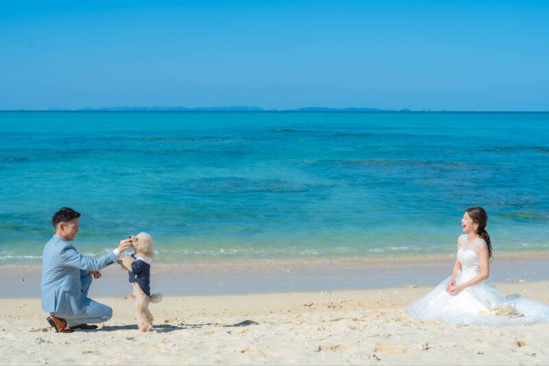 こっちおいでーー！