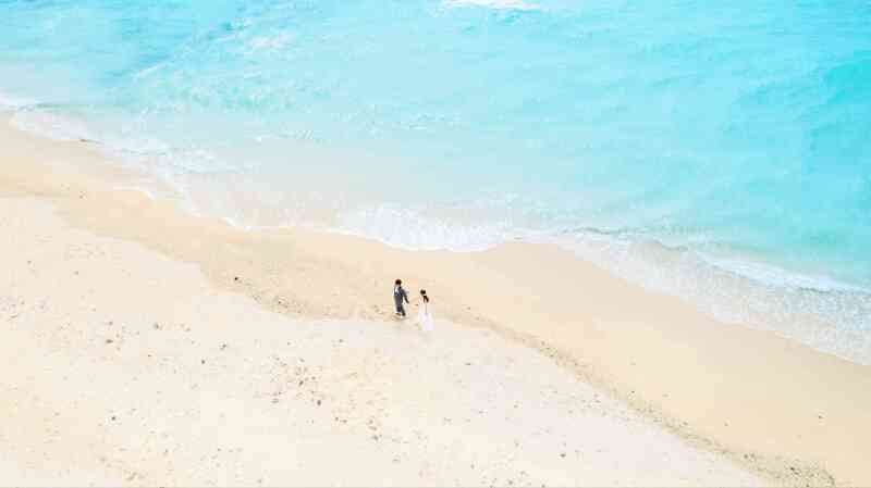 沖縄の大自然を