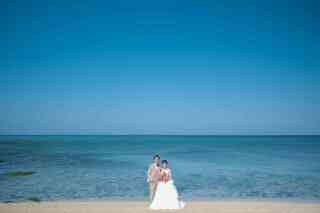 ビーチ100カット