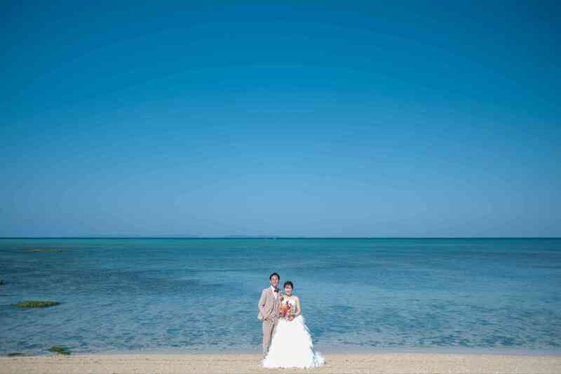 ビーチ100カット