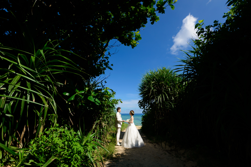 ビーチまでの道