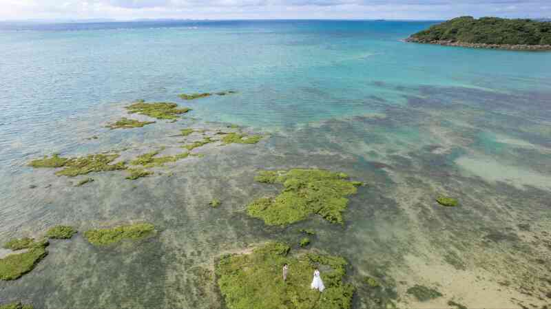 ドローン撮影も