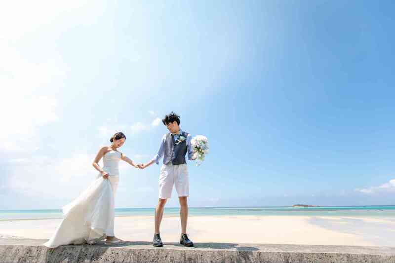 ビーチ１００カット