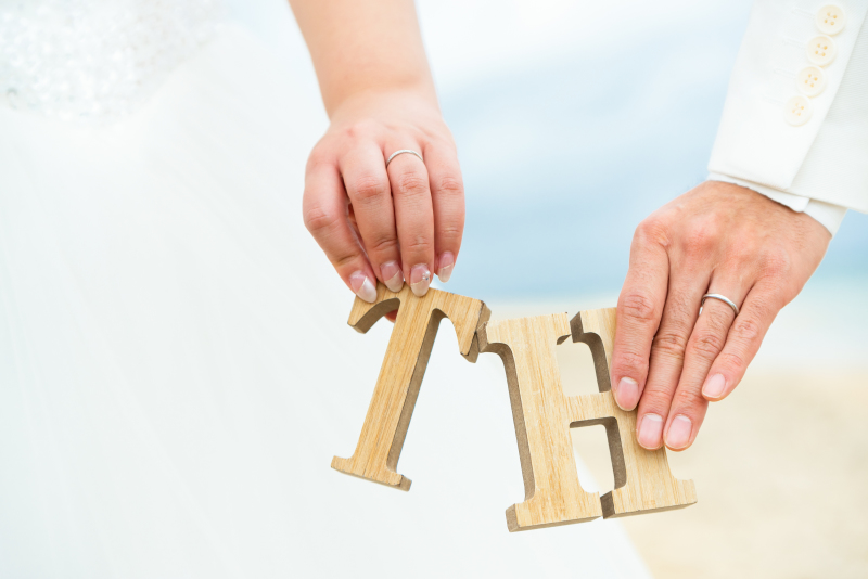 ハンドショット