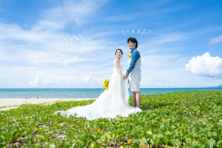 ヒマワリのように