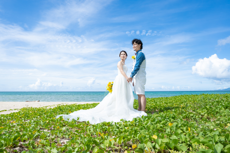 ヒマワリのように