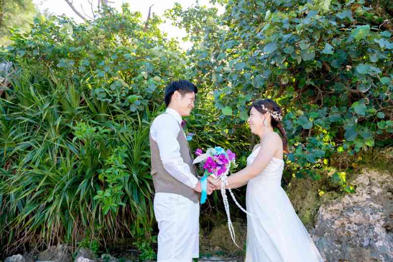 ビーチ100カット