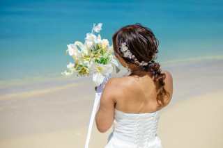 【天然ビーチ＆ウォーターイン＆ドローン撮影コミコミ125カット】美しい海の思い出