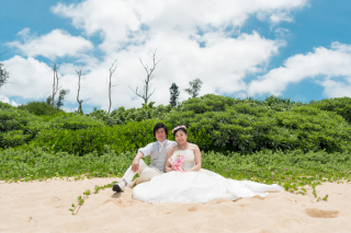 南国らしい緑と青空と