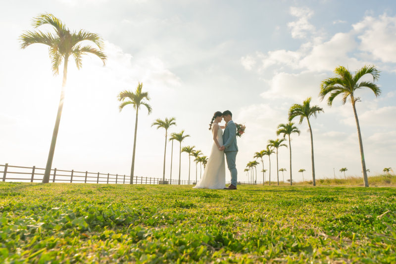 ヤシの木ロード