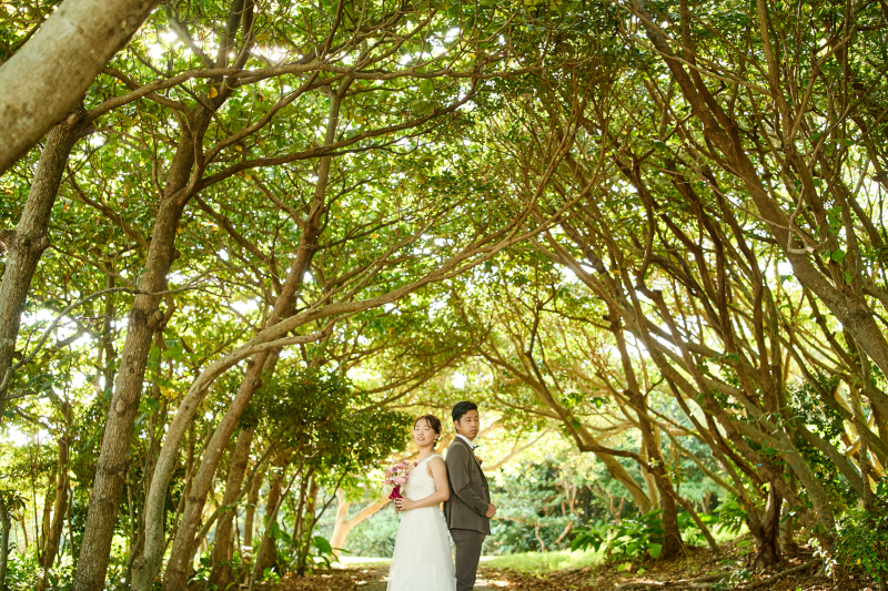 自然が作り出した木のトンネルでエネルギーを感じて