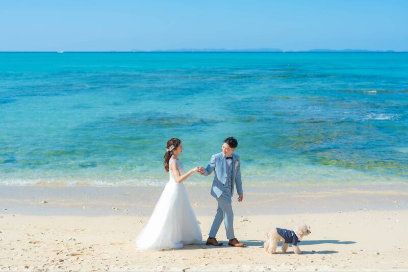 手を取り合って