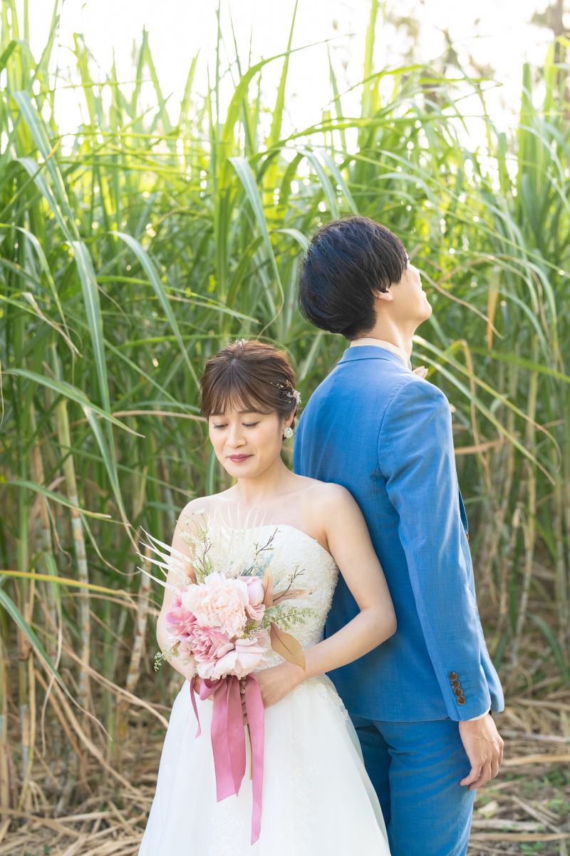 さとうきび畑から