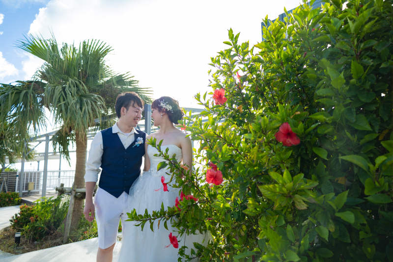 ヤシの木とハイビスカス