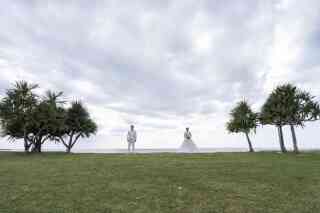 ビーチ100カット