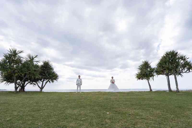 ビーチ100カット