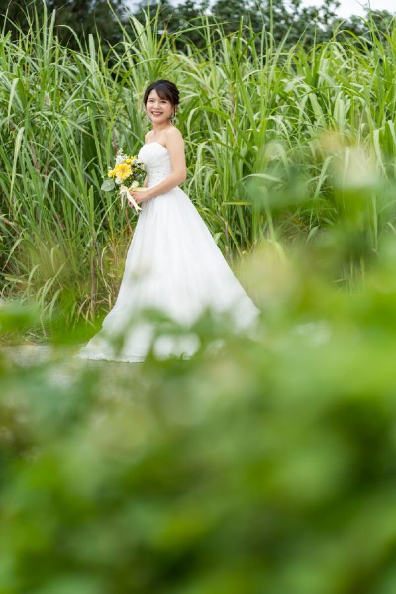 グリーンの中から