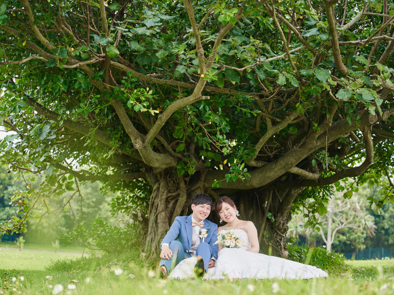 木陰でひと休み