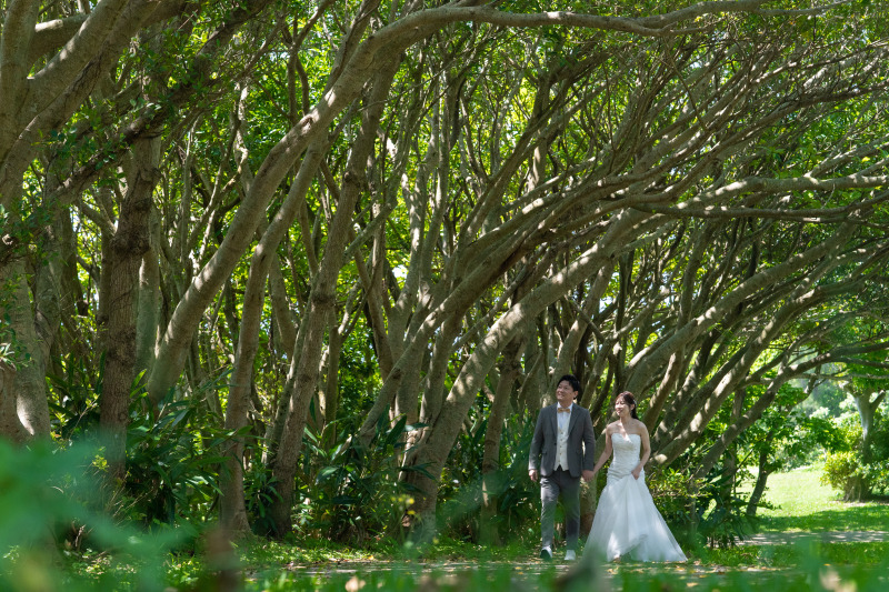 撮影スタート！