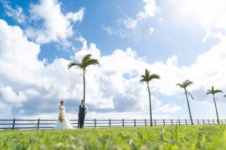 向日葵のように