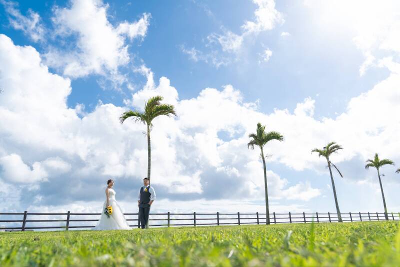 向日葵のように