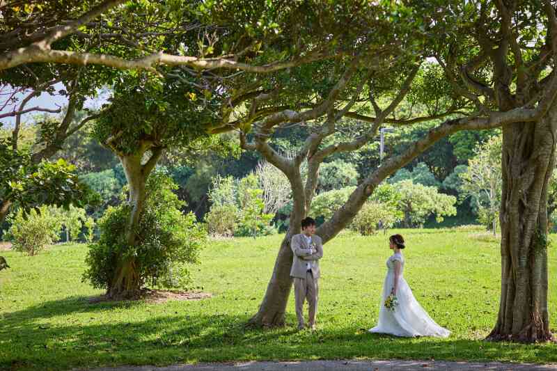 青と緑を満喫する1日