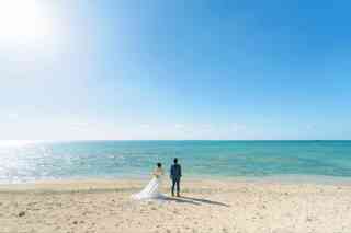 ビーチ100カット