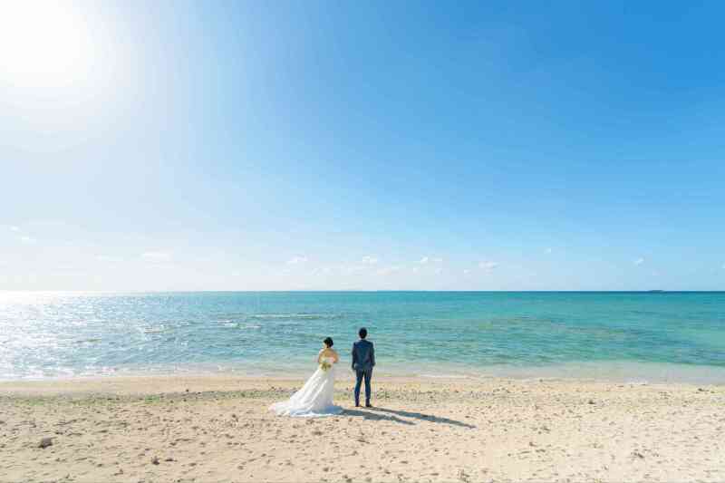 ビーチ100カット