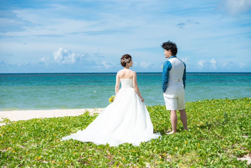 グリーンのじゅうたん