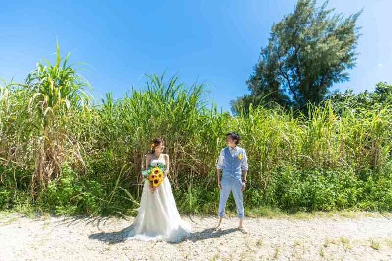 前撮りプランでお得に撮影