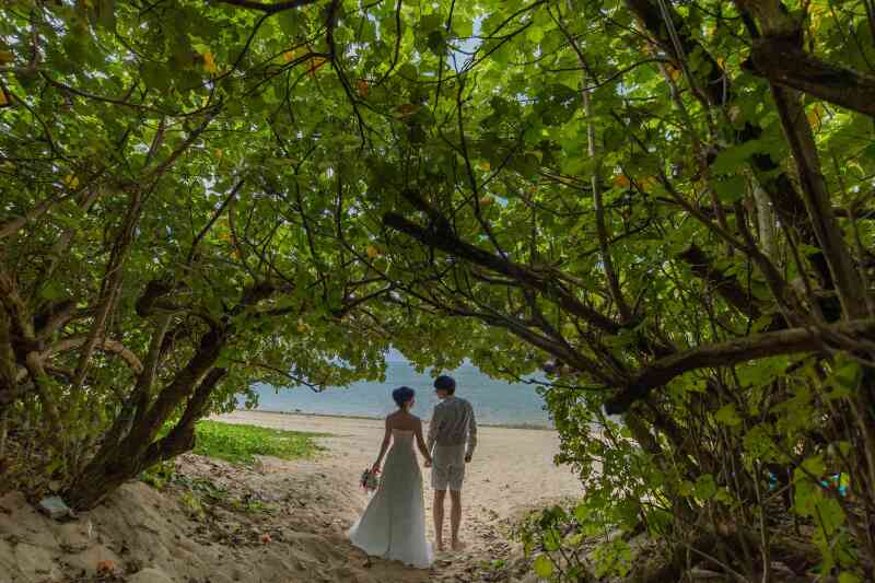 プラン内容も充実