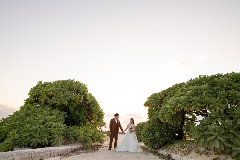 沖縄らしい緑と