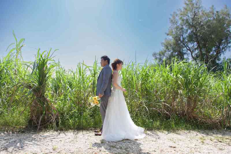 背中を合わせて