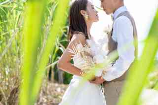 真夏の沖縄の海を