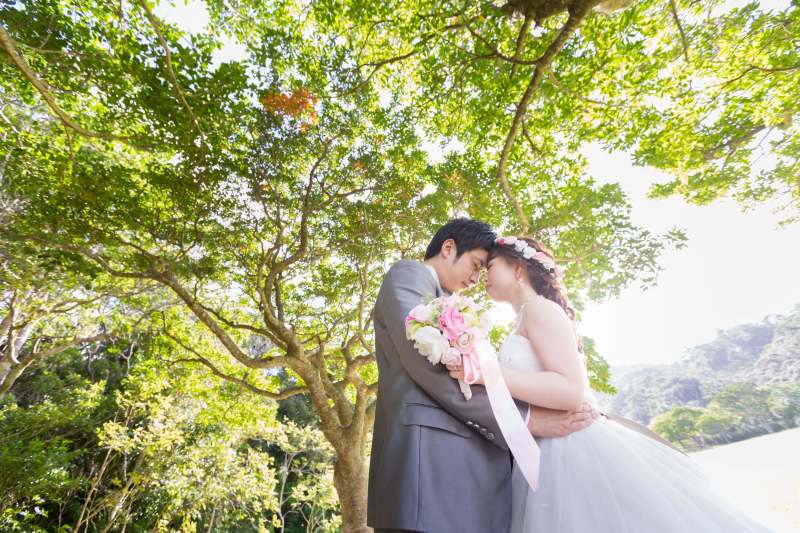 木漏れ日の中で