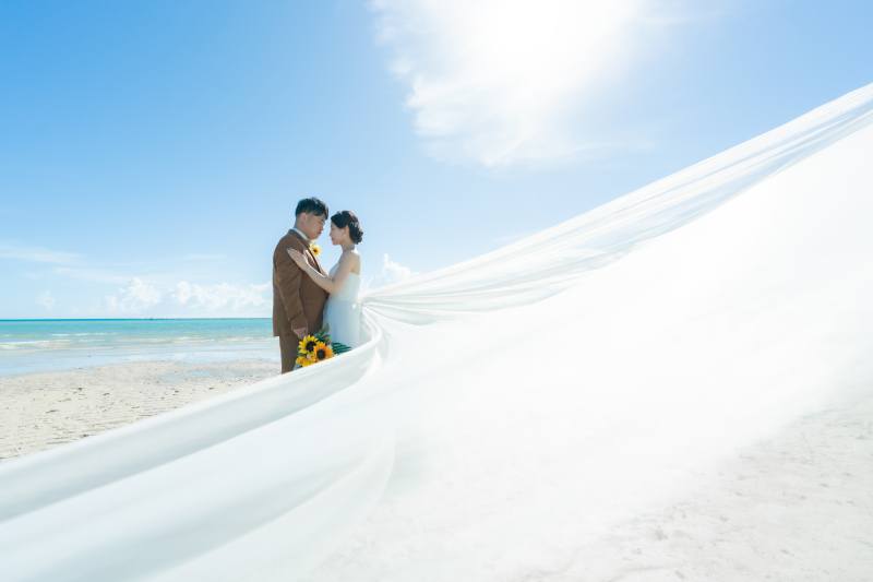 美しいベールショット