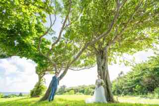 ビーチと大自然