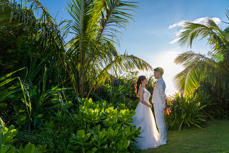 太陽の光とともに