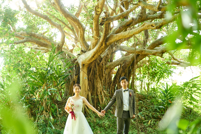 自然豊かな沖縄らしい大きな木の前でパシャリ！