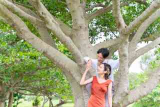 とびっきりの1日に