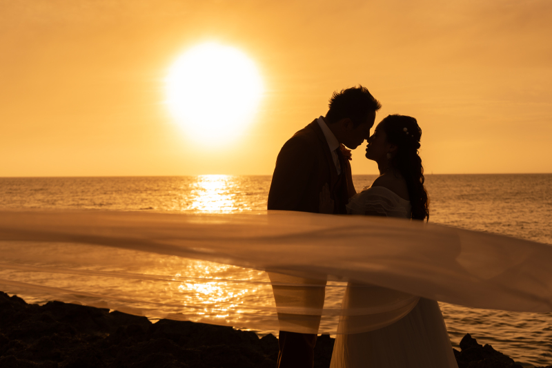 ベールショット