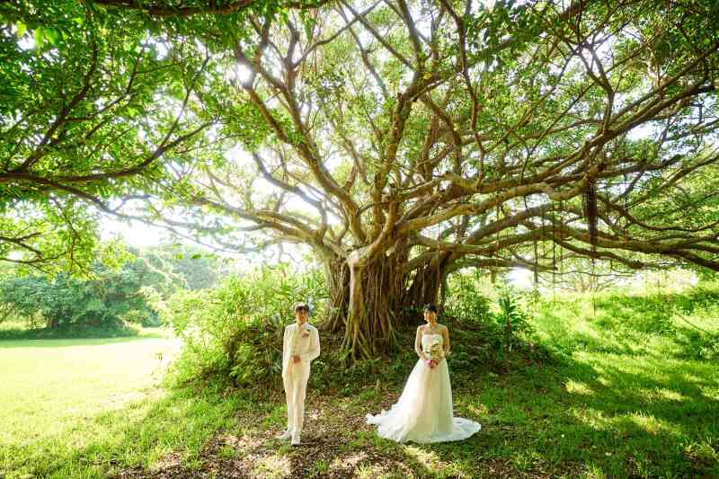 ドラマチックに