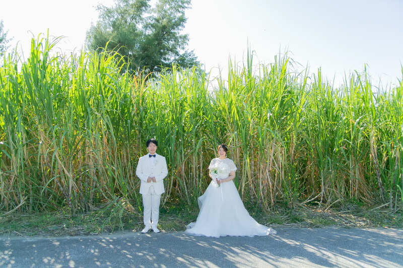 さっそく撮影スタート!まずはサトウキビ畑の前で。