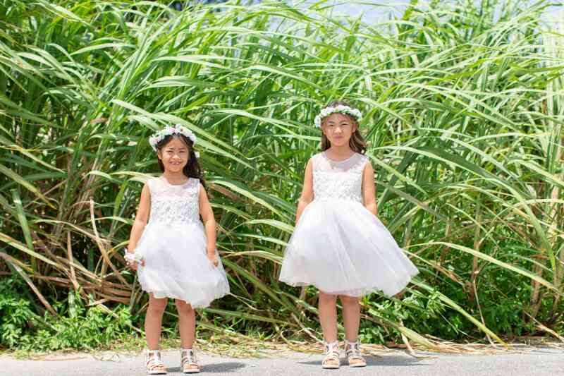 大きくなった時