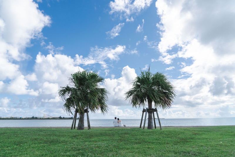 広い絵もしっかり撮ります！