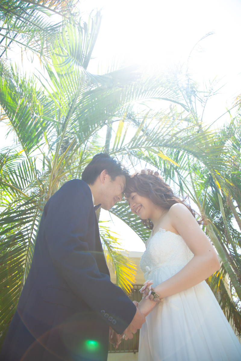 美しい木漏れ日