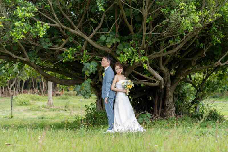 大自然ショット