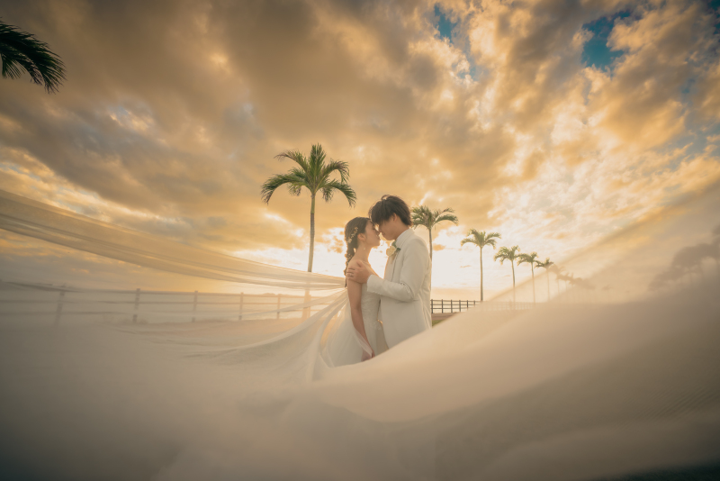 ヤシの木ロード